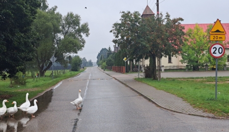 Wyremontują drogę w Olszynach